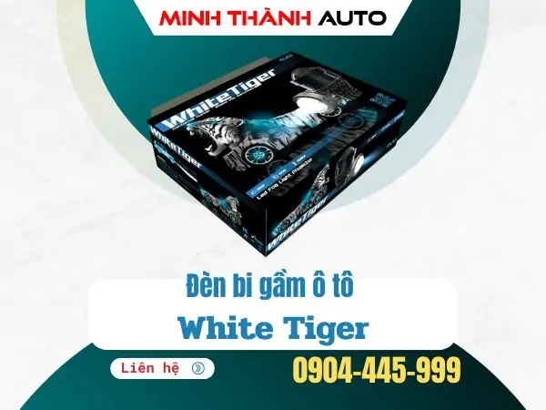 Bi Gầm White Tiger