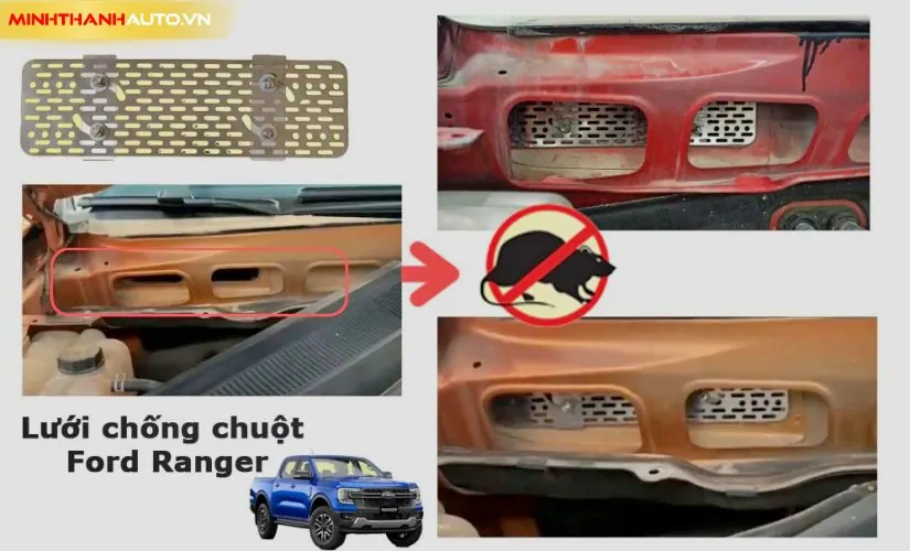 minh thanh auto luoi chong chuot ford ranger 2024