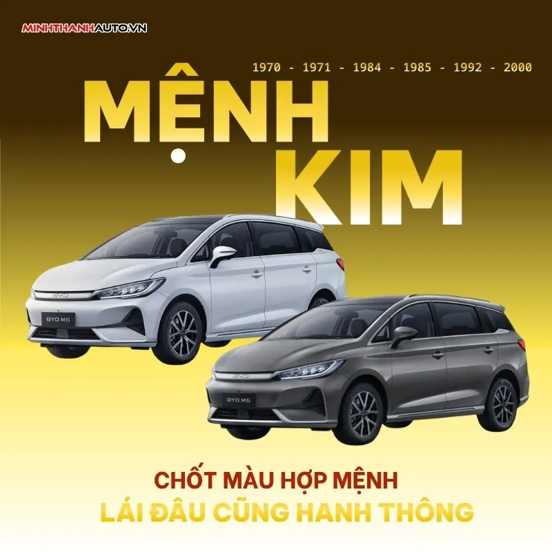 Mau-xe-byd-m6-top-10-phu-kien-nen-lap-16