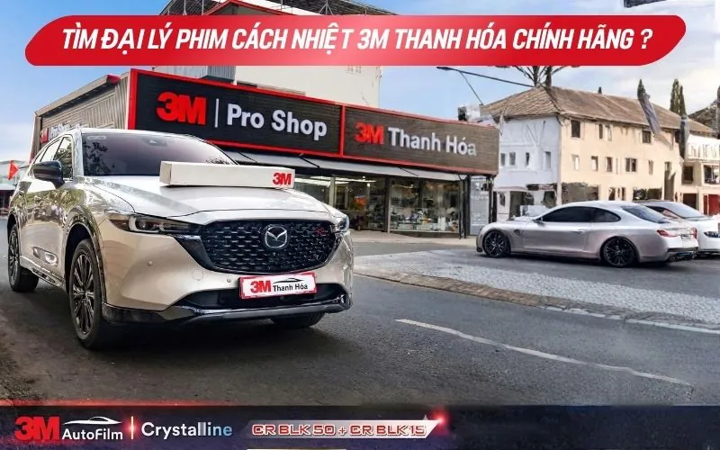 Thum Tim Dai Ly Phim 3m Thanh Hoa